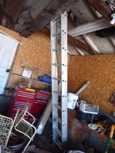 68813 - image 11