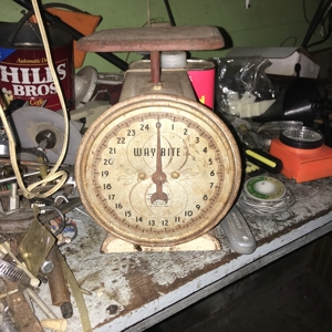 79489 - image 3