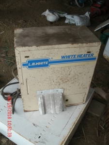 84204 - image 4