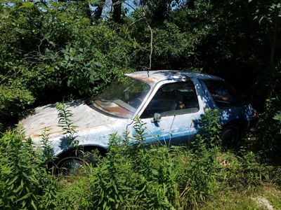 89344 - image 98