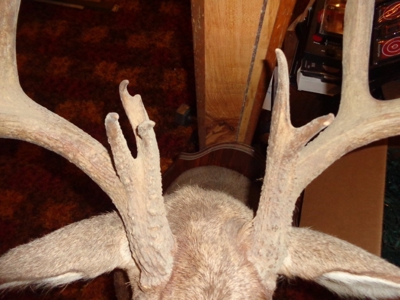 95430 - image 13