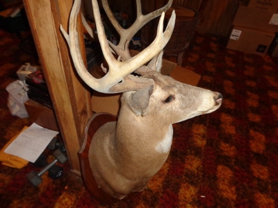 95429 - image 12