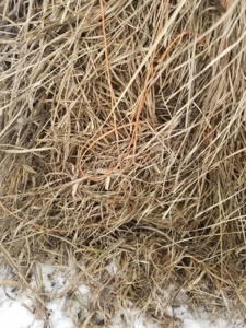 138803 - image 6