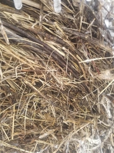138810 - image 6