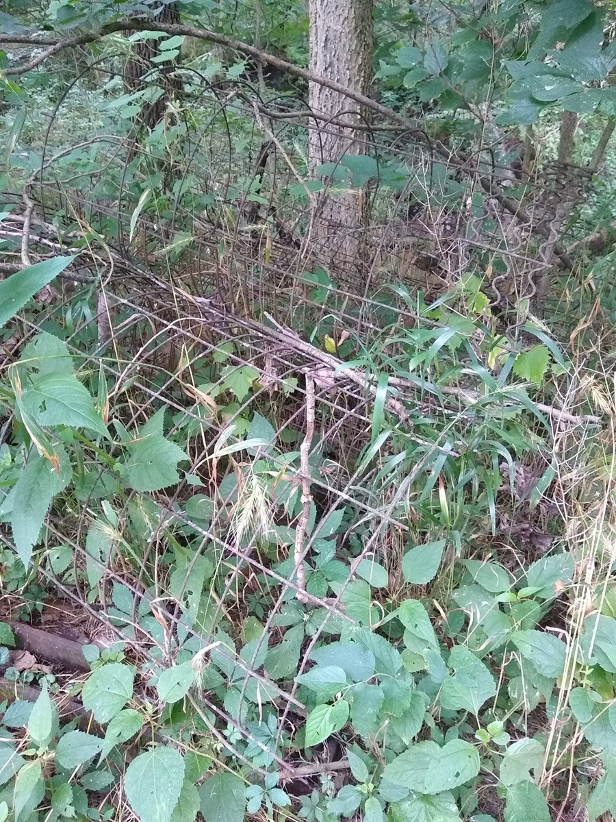 Personal property image