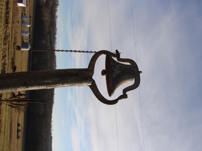 167471 - image 23