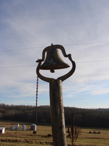 167452 - image 4