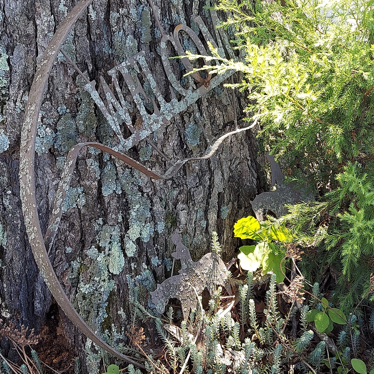 Personal property image