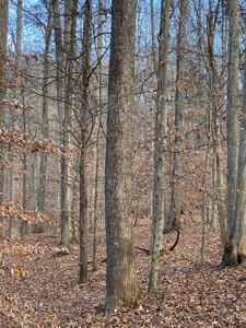 197590 - image 4