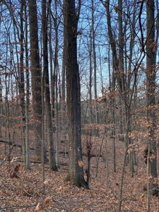 197591 - image 5