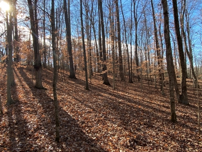 197594 - image 8
