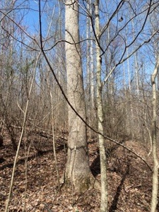 204680 - image 33