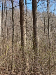 204675 - image 28