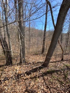 204673 - image 26