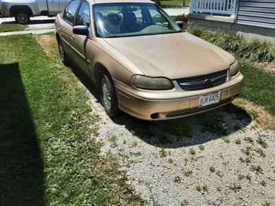 218351 - image 7