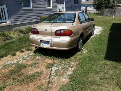 218350 - image 6