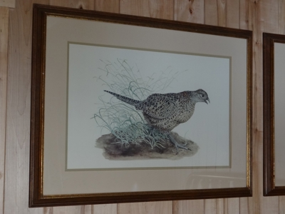 223084 - image 7