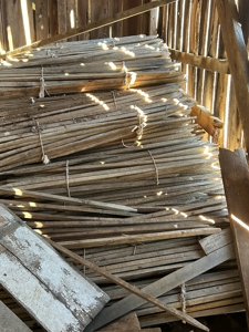 244100 - image 24