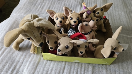 250630 - image 19