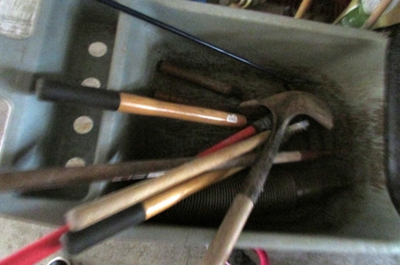 251838 - image 31