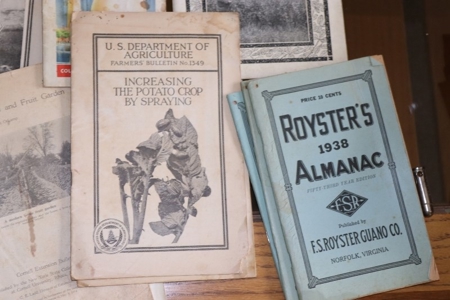 252472 - image 3