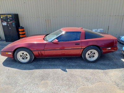 252842 - image 2