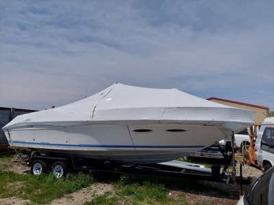 252846 - image 6