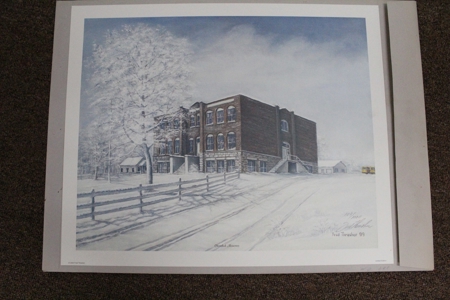 253383 - image 15