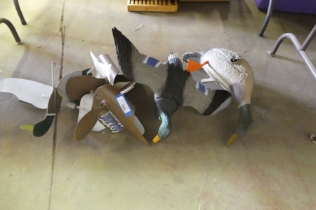 253600 - image 39