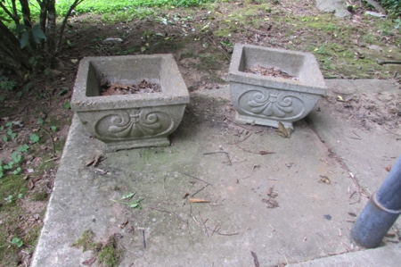 254629 - image 72