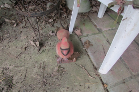 254631 - image 74