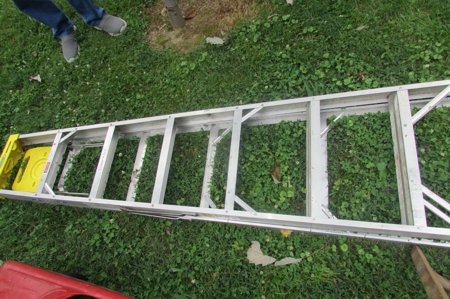 254564 - image 7