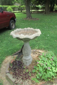 254645 - image 88