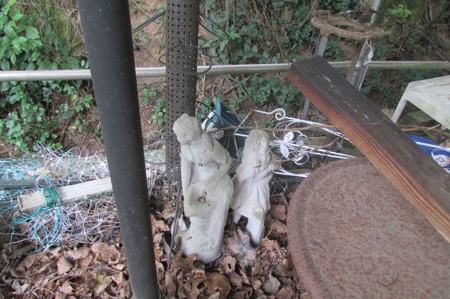 254632 - image 75