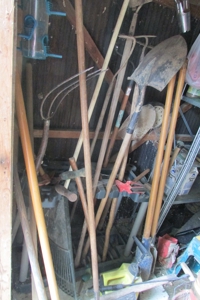 254609 - image 52