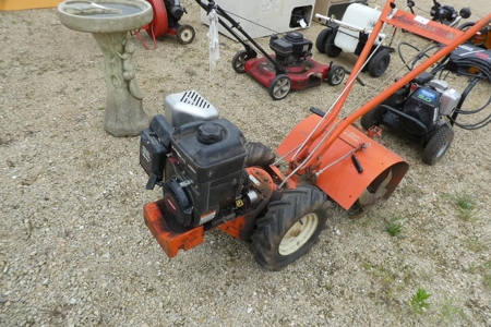 254703 - image 3