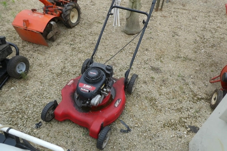 254705 - image 5