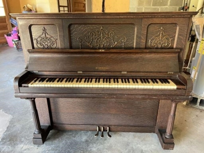 254859 - image 1