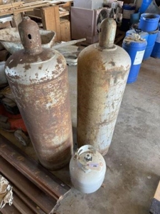 254995 - image 2