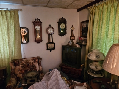 257741 - image 2