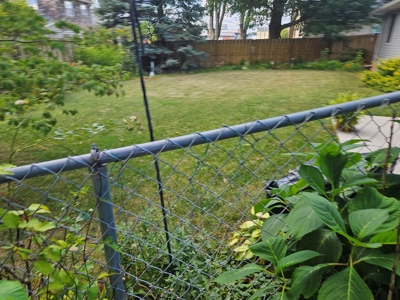 257869 - image 9