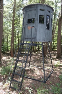 258934 - image 1