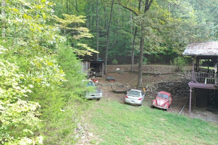 259564 - image 12
