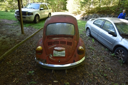 259562 - image 10