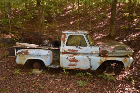 259555 - image 3