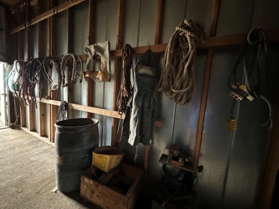 260363 - image 36