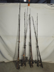 262579 - image 6