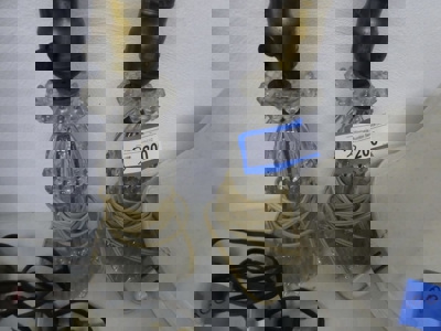 264646 - image 16
