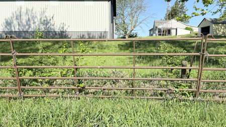265819 - image 19