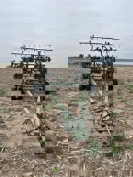 alt=